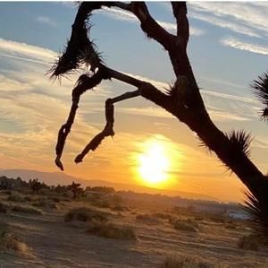 Meet your Posher, Rose